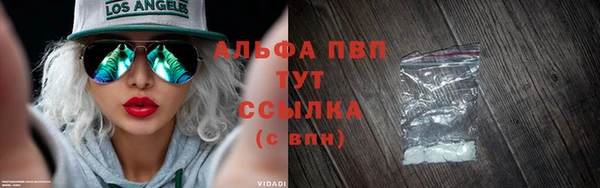 спиды Новокубанск