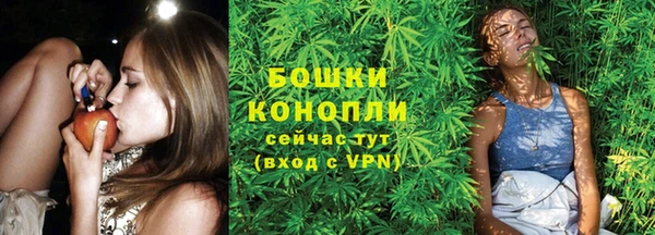 MDMA Новодвинск