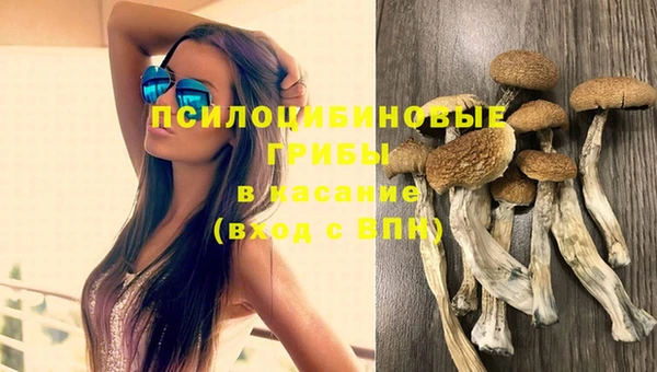 спиды Новокубанск