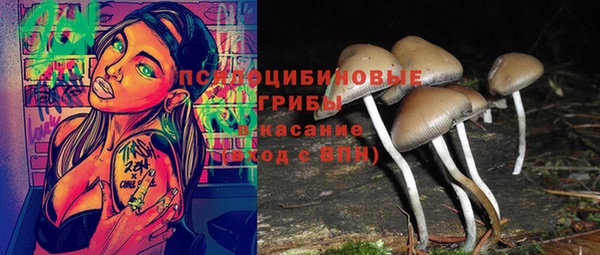 прущая мука Новозыбков