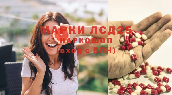 спиды Новокубанск